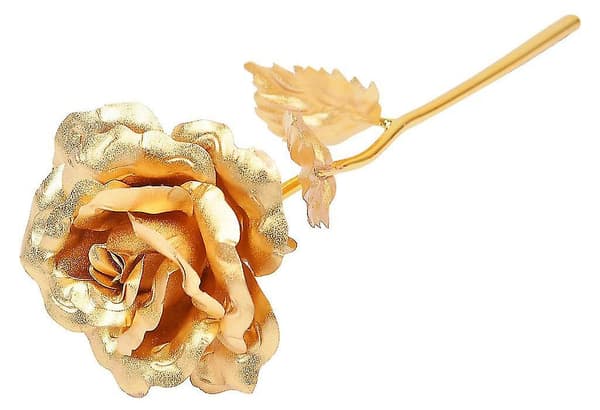 Guld evighetsros i presentförpackning