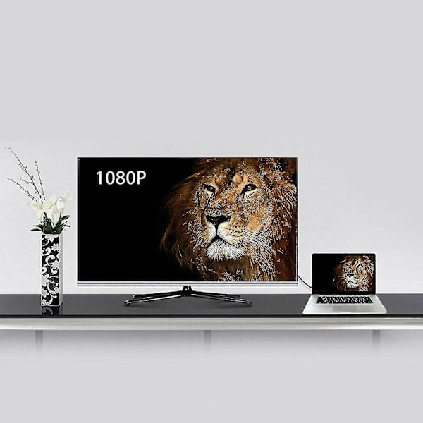 Usb til Hdmi-adapter