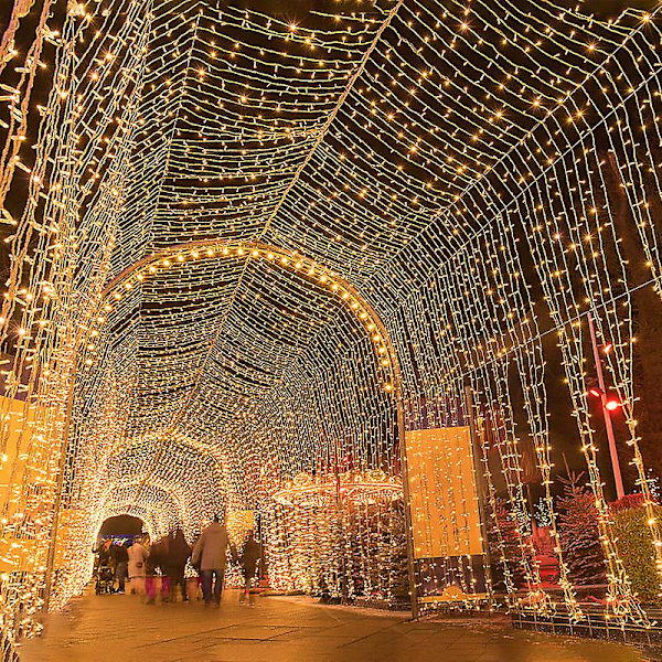 Julstjärnhimmelsljus Utomhus Dekorativ Lampa Teknik Kvantitativ Led Ljuskedja Nyår Strängljus Ljus Jul [white]] 20m 200 lights