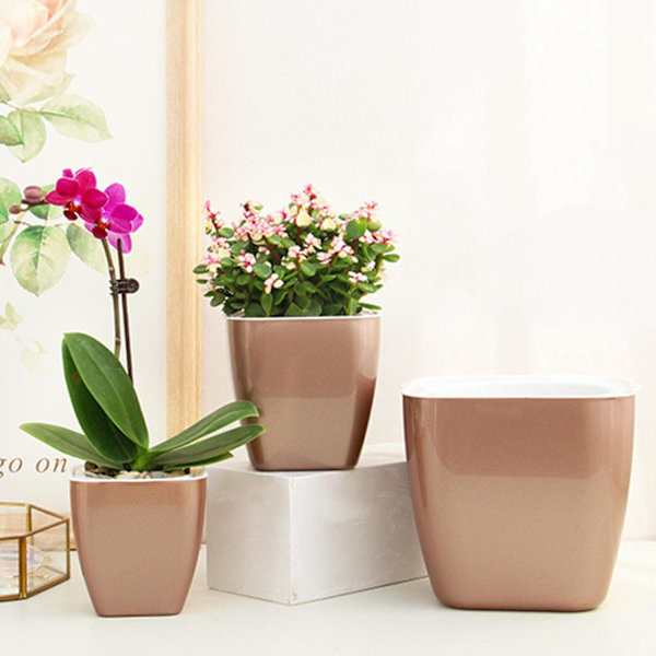 Blomsterpotte med selvvanding, varmebestandig PP, automatisk dræningssystem, plantebeholder til husholdningsartikler Champaign Gold M