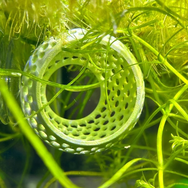 Betta fisk pære skjulested | Akvarie hule med sugekop, egnet til lille fisketank, betta fisk habitat, rejer gemmested, akvatisk dekoration green