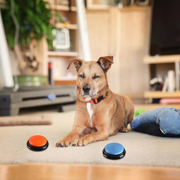 Röstinspelningsknapp Husdjursleksaker Hundknappar För Kommunikationsträning Summer Recordable Talking Button Intelligence Toy red