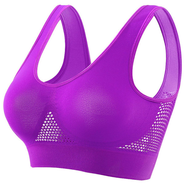 Åndbar Cool Liftup Air Bra, 2024 Ny Stor Størrelse Air Bra Åndbar og Komfortabel Mesh Sports BH til Kvinder -GSL Purple S