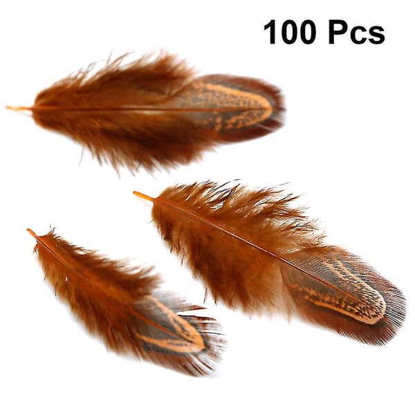 100 stk. håndverksfjær