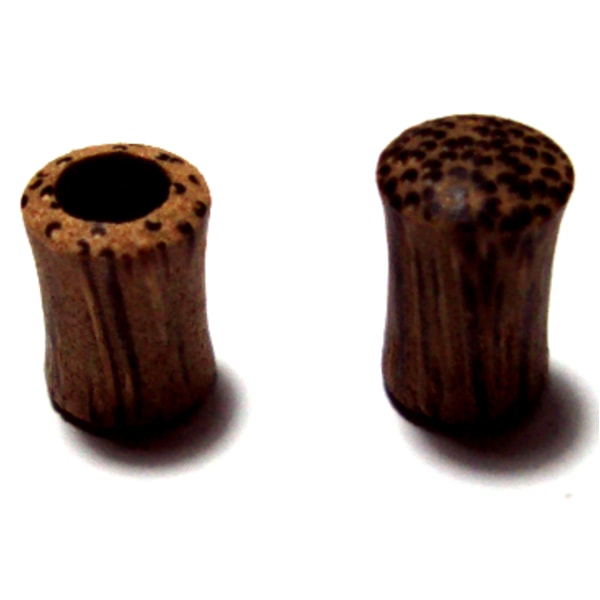 Plugg & Tunnel Öronpiercing 1 ST
