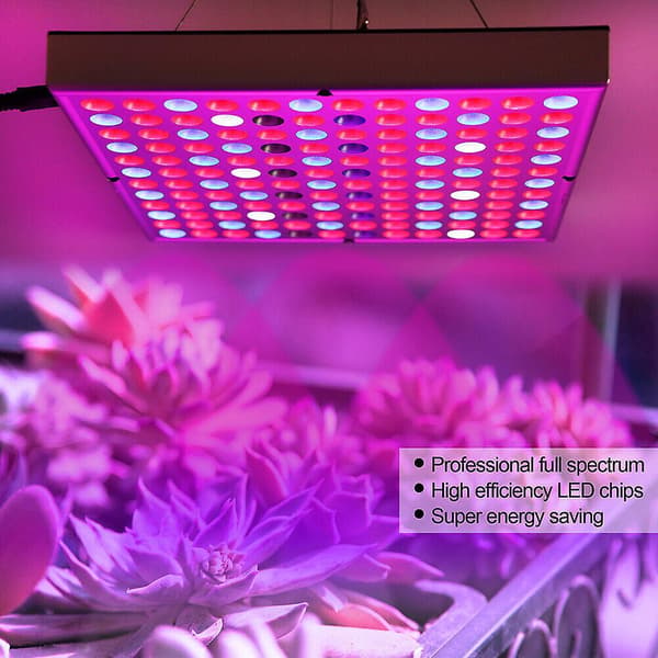 Växtlampa LED 25W/45W Fullspektrum Växtljus