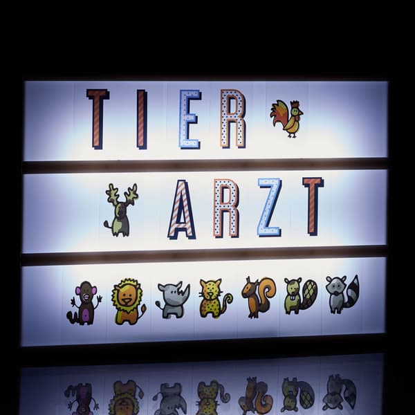 Lightbox-udvidelsessæt med 240 tegn
