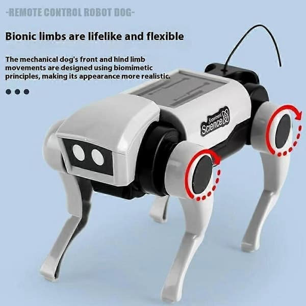 DIY Mekanisk Robothund og Kat Sæt Fjernstyret Gående Legetøj STEM Pædagogisk Samlesæt