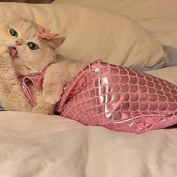 Havfruedragt til kat, lyserød, M Rosa M.
