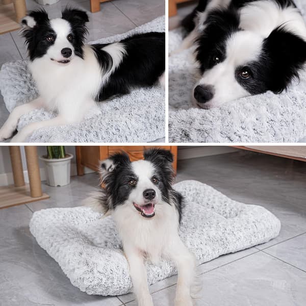 Medium-sized dog bed washable plush non-slip gray for cats and dogs
