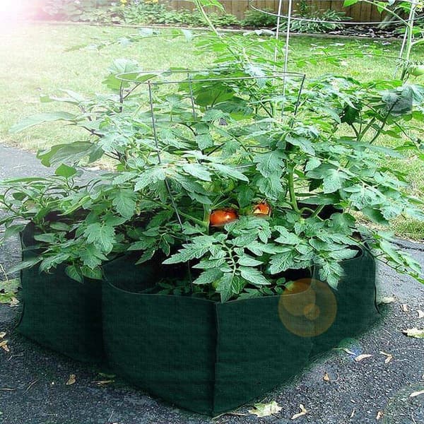 Raised Fabric Grow Bed, 4 Divided Grids, Square, Durable Pot for Vegetables, Flowers and Plants
