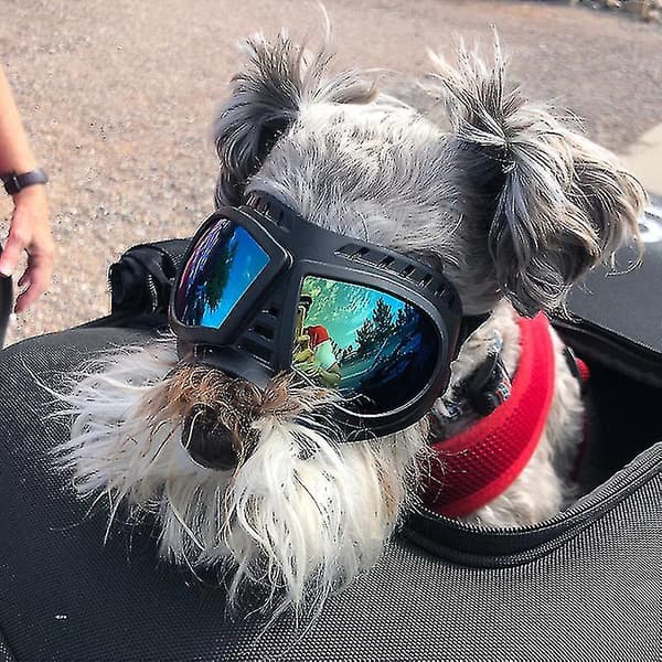 Hundeglassøyne Anti-UV Solbriller Øyebeskyttelse Blå Blue