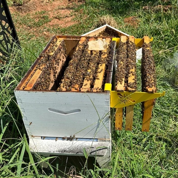 Mehiläispesän kehystenpidinsetti - Ruostumattomasta teräksestä valmistettu tarkastusteline ja orsi mehiläistarvikkeisiin Blue 2pcs