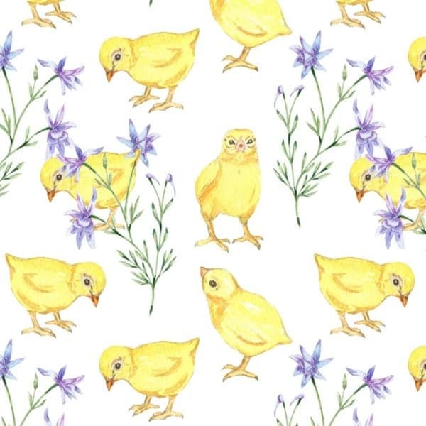 Napkins Chicks 33x33cm 20-pack multifärg multicolor