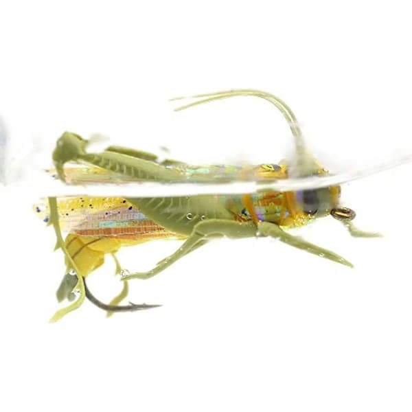 Fly Trout Grayling Roach Salmon Natural Grasshopper Realistic Effective