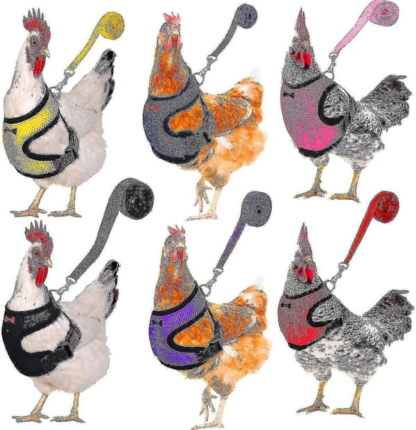 Adjustable Chicken Harness Leash Comfortable and Breathable Small Size Hen Pet Vest for Chicken Duck