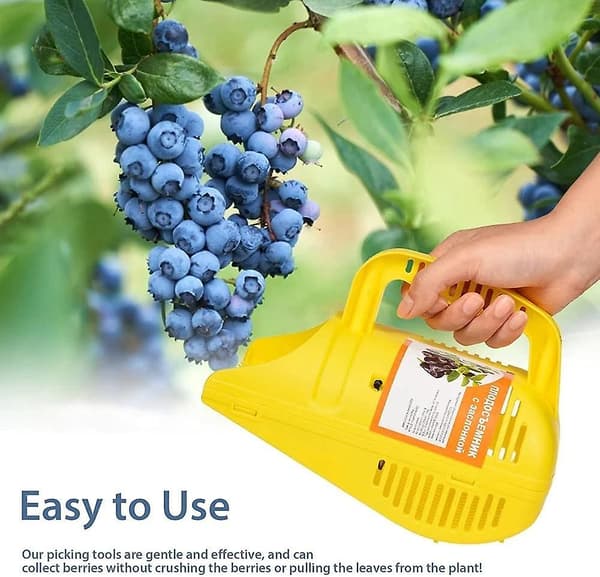 Fruit Picker for Garden, Blueberry Picker, Fruit Basket, Fruit Harvester, Fruit Collector