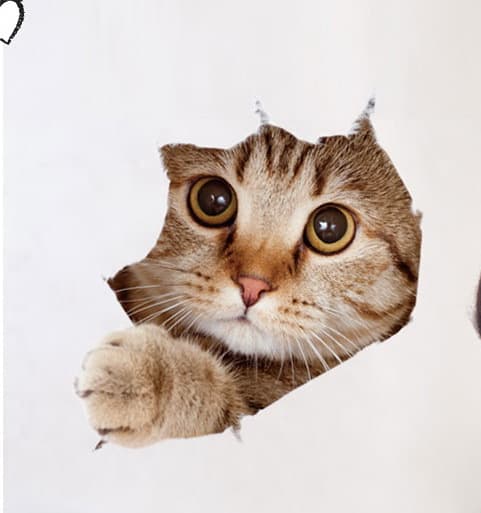 4-pack PVC Väggdekal 25x25 cm, Stereoskopisk Realistisk Katt, Väggdekor för Sovrum
