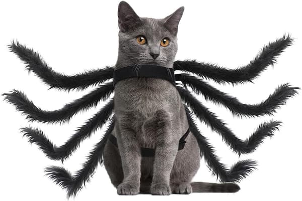 Halloween-kostyme edderkopp for hund og katt, justerbar, medium