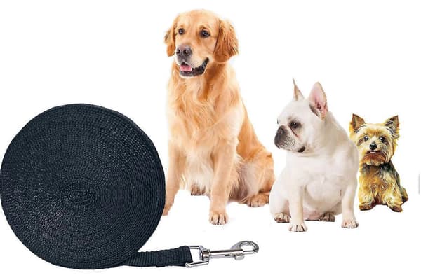Hundetræningsline 2,5 cm x 10 m Nylon med Metalspænde