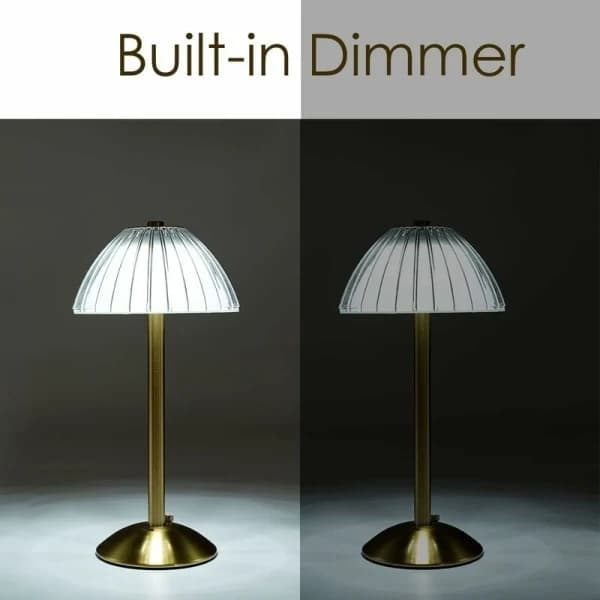 Wireless LED Desk Lamp with Dimmable Light and 3 Color Modes - Battery Powered