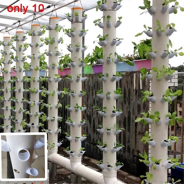 10 sæt hydroponisk jordfrit dyrkningssystem DIY hydroponisk planteskole havekit som vist