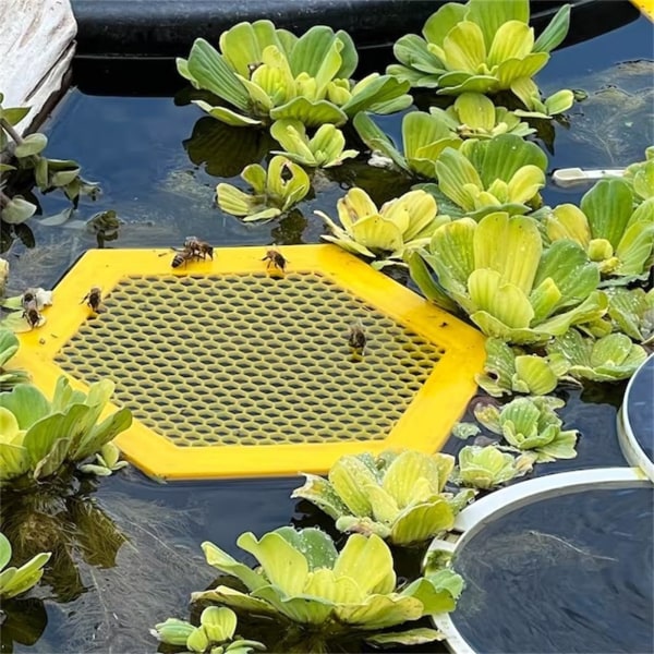 3D-printet flydende biø-vandingsø, bi-vandingskopper til have-tørstige bestøvere, bi-drikkekopper (lilla, 1 stk.) Yellow two
