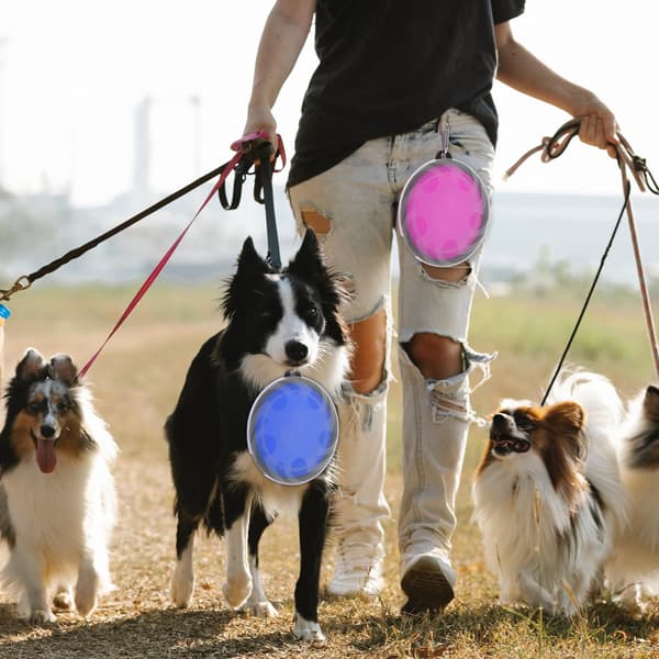 Set med 2 hopfällbara hundskålar, 1000ml/37oz med karbinhakar