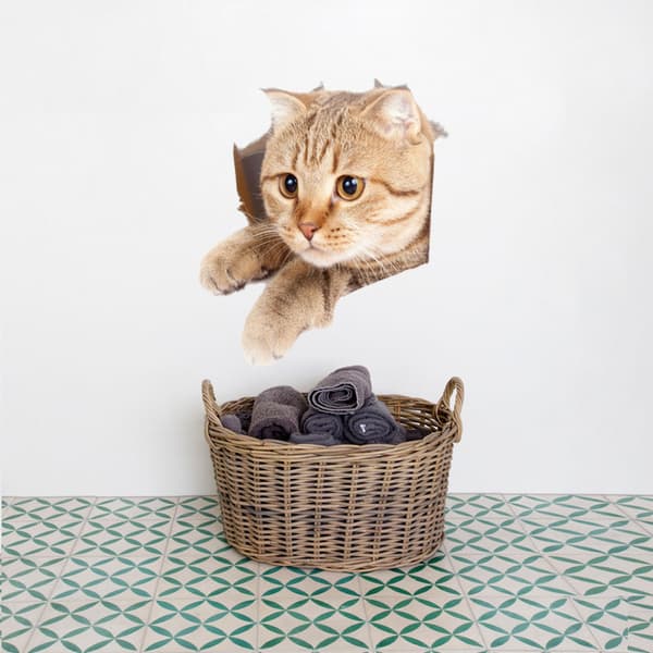 4-pack PVC Väggdekal 25x25 cm, Stereoskopisk Realistisk Katt, Väggdekor för Sovrum