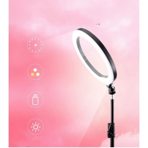 26 cm LED Ring Light for Makeup, Video, Studio - Dimmable with 3 Light Modes, Easy to Carry and Install (FMY)