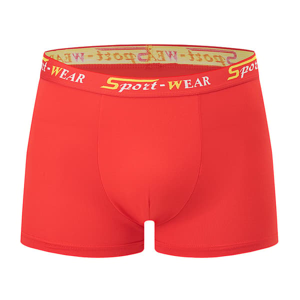 10-pakning herreundertøy, pustende og komfortable elastiske underbukser i polyester, S S