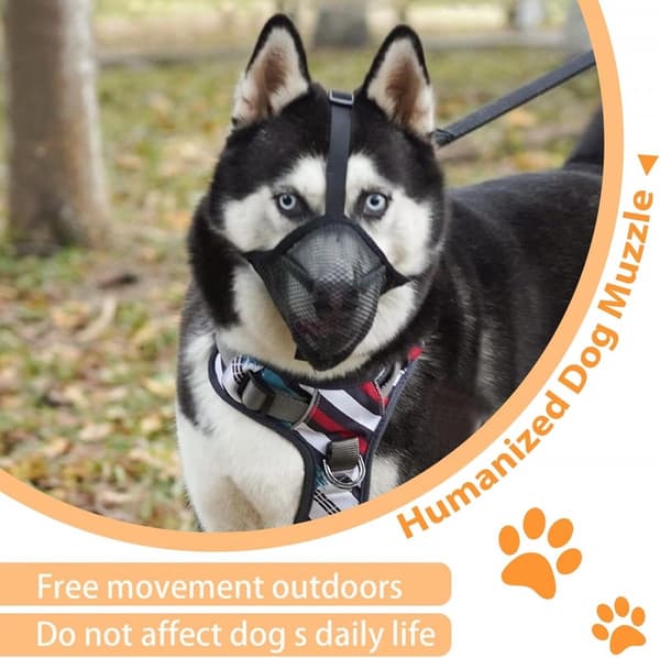 Dog Muzzle Breathable Nylon Mesh Soft Padded Adjustable Straps Anti-bite Chew Bark For Walking Training Long-nosed Dogs Grey XL