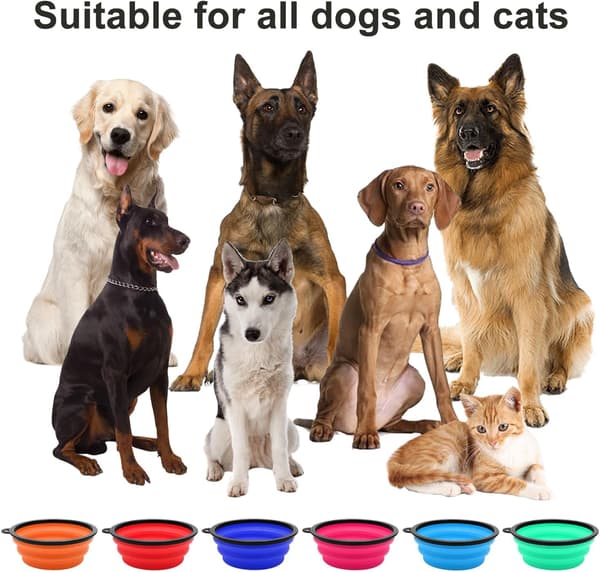 Set med 2 hopfällbara hundskålar, 1000ml/37oz med karbinhakar