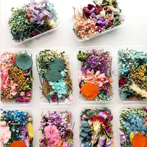 Dried Flower Pack Mixed Eternal Flowers and Foliage for DIY Aromatherapy Candles Greeting Cards Epoxy Craft Decor Multicolour Multicolour