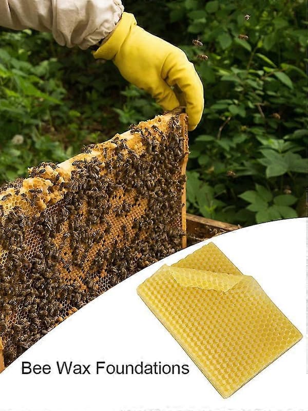 Het! 10-30 pcs. Beehive Wax Frames for Beehive, Beekeeping Equipment 10pcs 10pcs