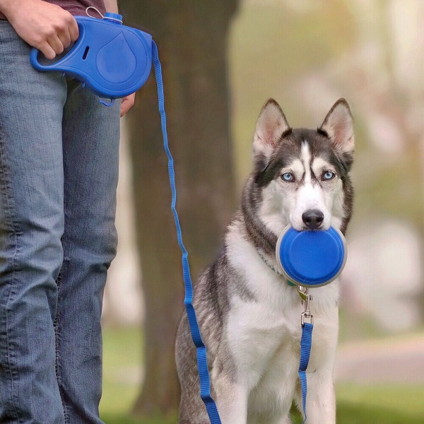 5 i 1 hundebånd, hundebånd med innebygd hundedrikkeflaske, sammenleggbar kjæledyrskål, hundeposeholder, bånd for små og mellomstore hunder blue