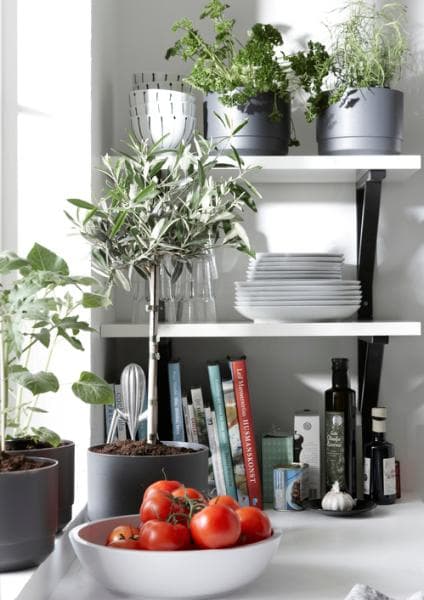 Pot with long-term watering. ø 17 cm White Paulina Orthex Vit white
