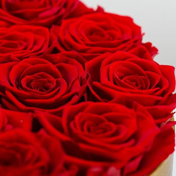 Konserveret rosenblomst evighedsrose i æske