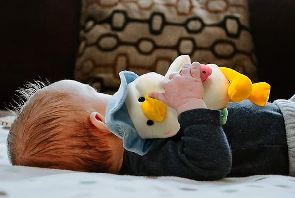 Andelegetøj, 30 cm, blød fluffy krammepude skoleand - Supergave til alle aldre