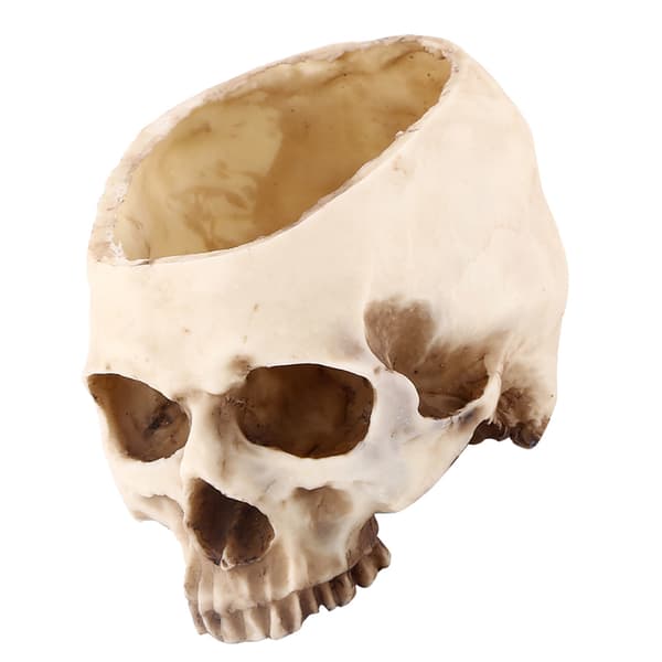 Resin Skull Design Flower Pot