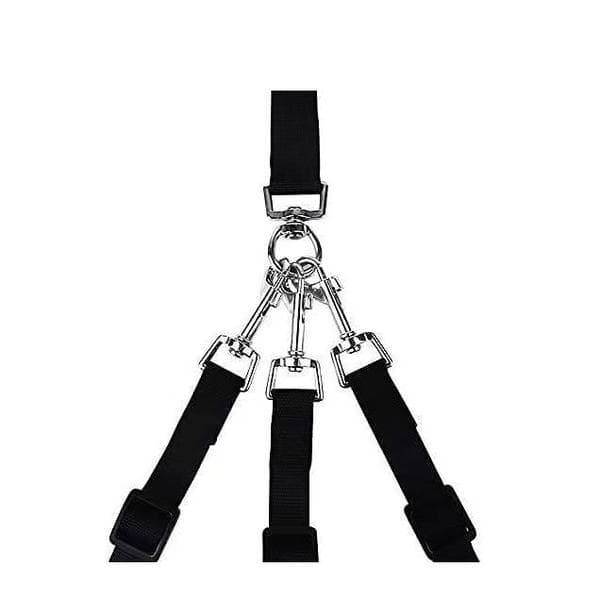 Triangular leash kit with one, two, and three leashes for large, medium, and small dogs.