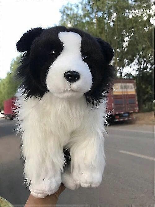 Border Collie Anime Söpö Pehmo-pentu Paimenkoira Pehmolelu 33 cm