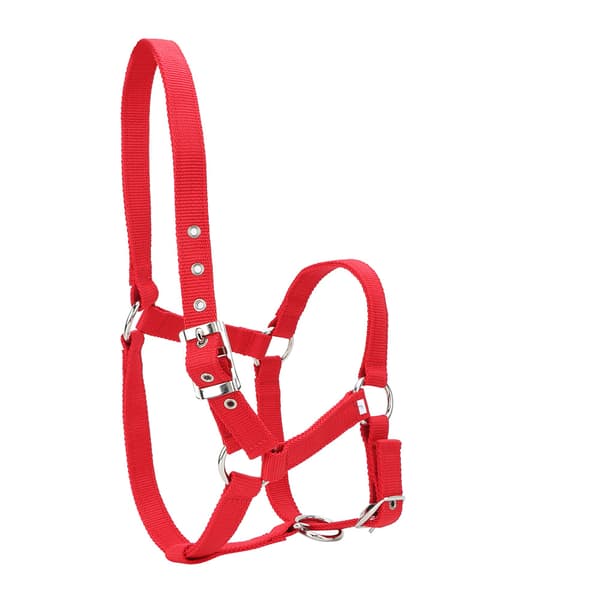 Red 6mm Thickened High-Density Webbing Horse Bridle Control Halter Riding Accessories