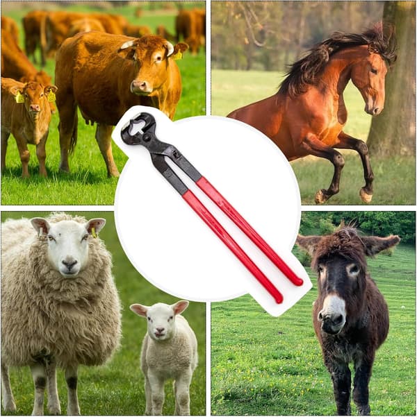 Hovtång för hästar 25 cm Veterinär jordbruksmaterial