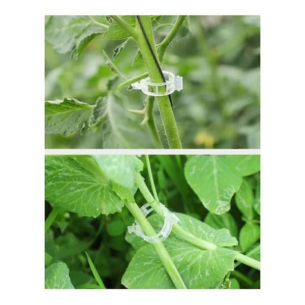 100-500 pcs 25mm Garden Plant Support Clips Tomato and Vegetable Trellis String US White White