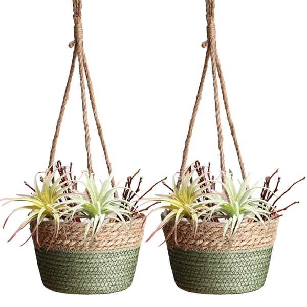 2 st Rottingblomkorg Hängande Kruka 20 cm Grön Maskintillverkad