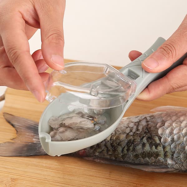 Manual Fish Scaler / Fish Scale Scraper with Lid — Kitchen Utensil for Home-FX-