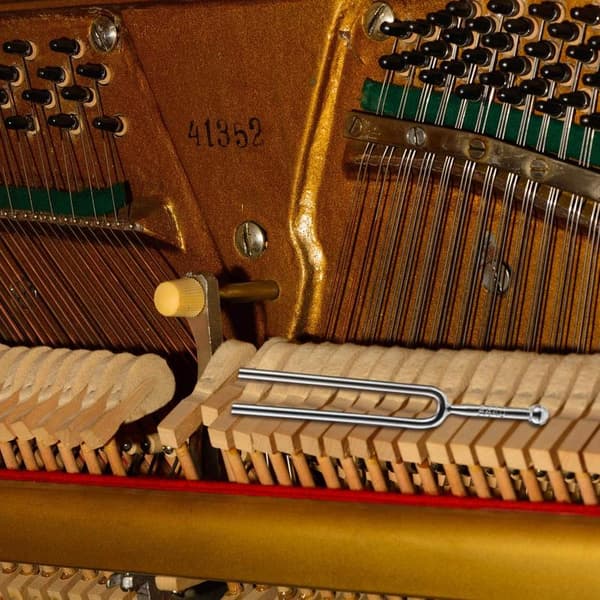 Piano Tuning Fork, inklusive A440Hz rostfri stämgaffel, C
