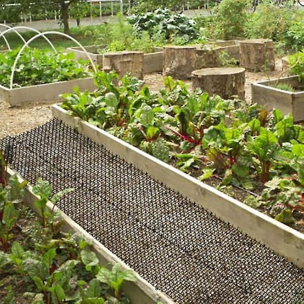 2 meter kattepute med pigger piggstrimler Anti-kattegraving stopper for hagebeskyttelse planter