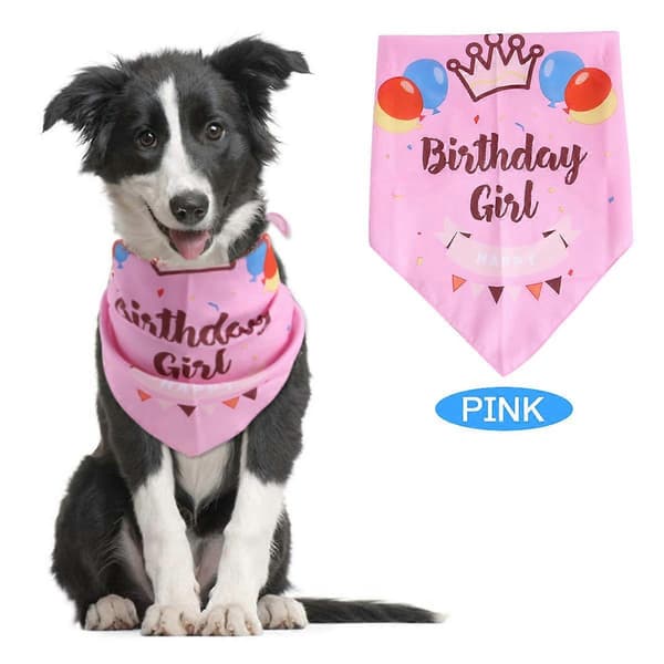 4-pakning bursdagsbandana for hund, bomullspolyester hundeskjerf